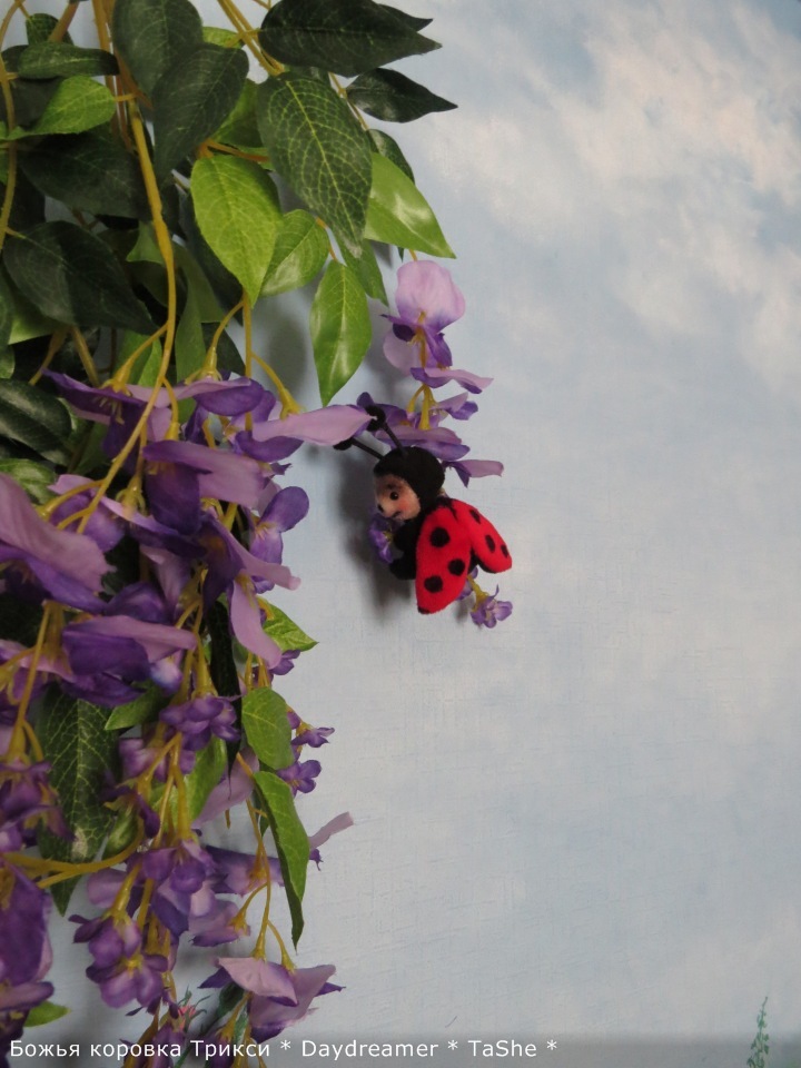 Трикси. Милая непоседа — Авторские мишки Тедди и друзья: фото