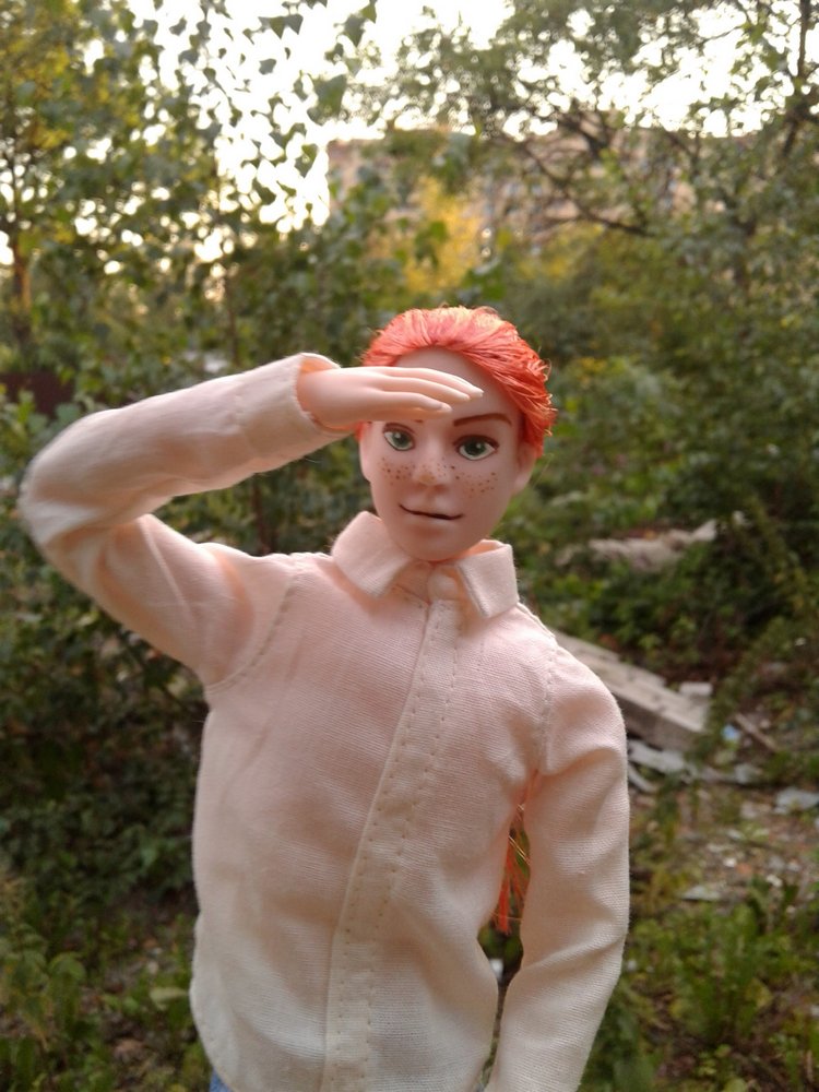 Кто же там, в малиннике — Куклы и тела Obitsu (Обитсу): 1/6