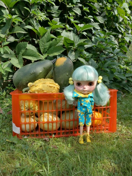 С возвращением, Энди-Пэнди