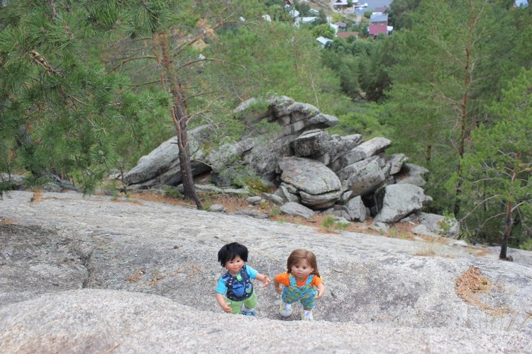 Базовичок обыкновенный. Дикий, но симпатичный | Бэйбики Базовичок обыкновенный. Дикий, но симпатичный (фото 8)