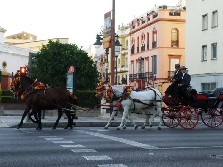 Тайна моего имени. Часть 8. Продолжение. Испания, Севилья. Удивительные вещи