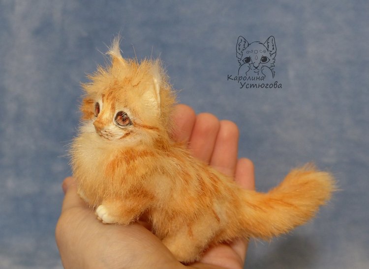 Мейн-ку́н, миниатюра. Рыженький (фото 8)