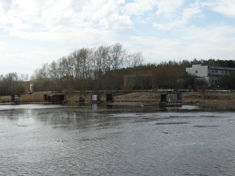 Куколки mamachapp в Верхнем Тагиле