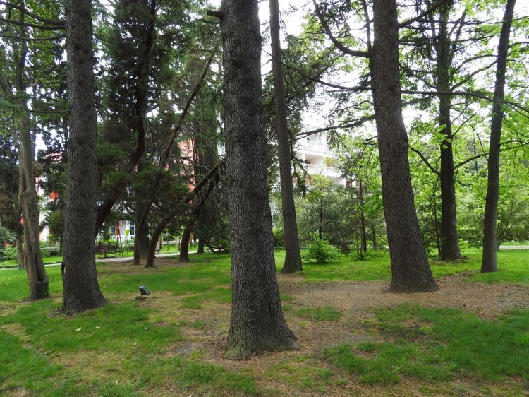 Сочи-Адлер: Южное Взморье - виртуальное путешествие по территории санатория