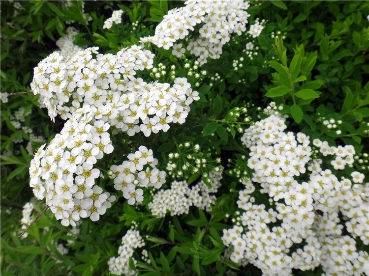 Милый мой город. Прогулка по Твери, заключительная часть