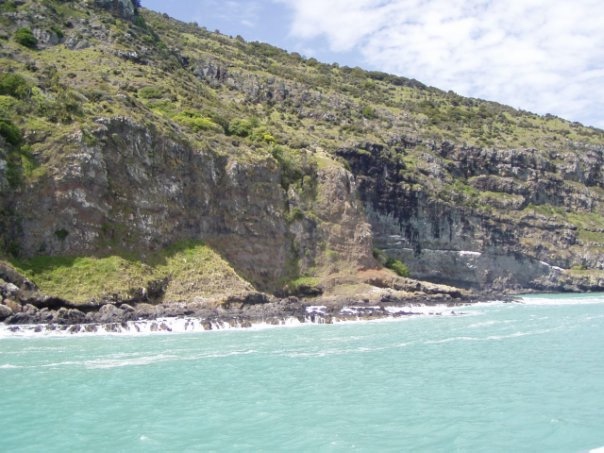 Увлекательное путешествие по Новой Зеландии