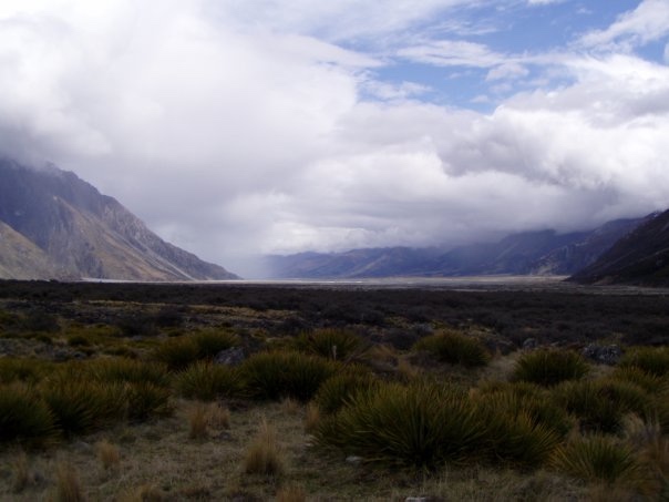 Увлекательное путешествие по Новой Зеландии