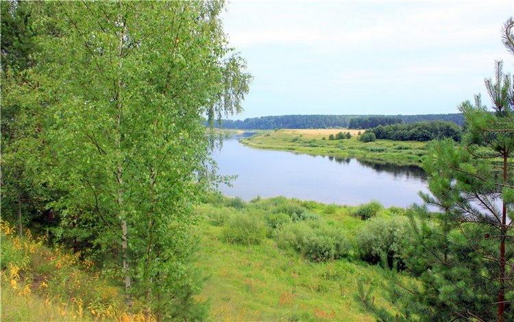 Летняя Фантазия — Куклы Kaye Wiggs (Кайе Виггс): авторские BJD (БЖД)