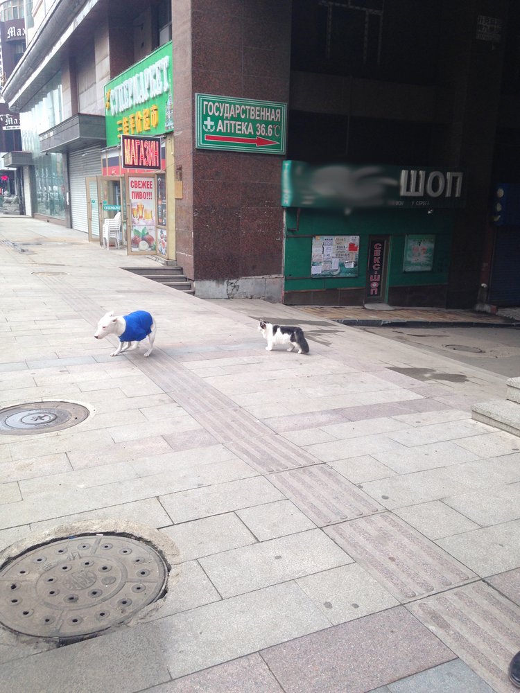 Курица не птица, Китай не заграница. Много фото, небольшая экскурсия