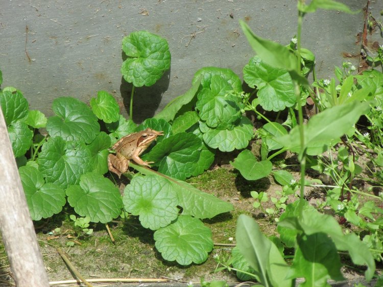 Путешествие в Нижегородскую область - часть 2 - Размещение в деревушке и прогулка по окресностям (фото 10)