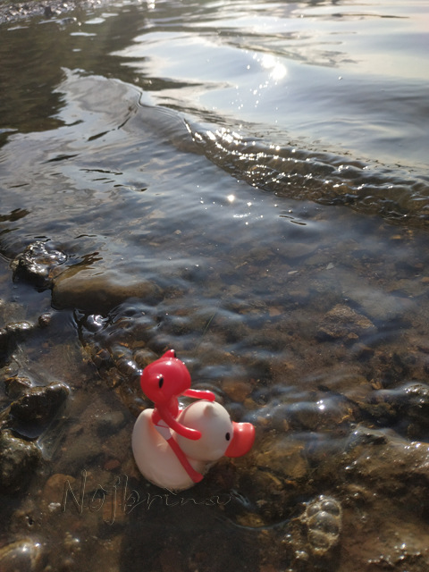 Wonderfrog. Красота в простоте. Часть 3 (фото 6)