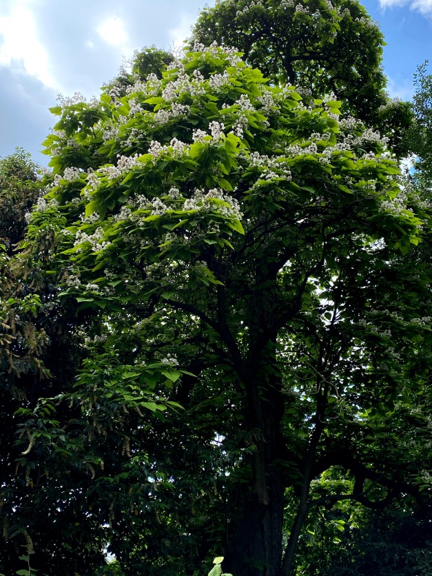 Галопом по Европам... 2 Часть