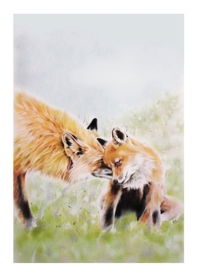 BrigitteMayArt - Иллюстрированная флора и фауна by Brigitte May