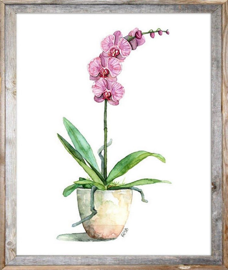 TheColorfulCatStudio - Иллюстрированная флора by Rachel Byler