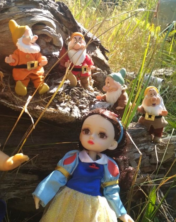 Осеннею порой под старою сосной... Принц, Белоснежка и гномы... встречаются