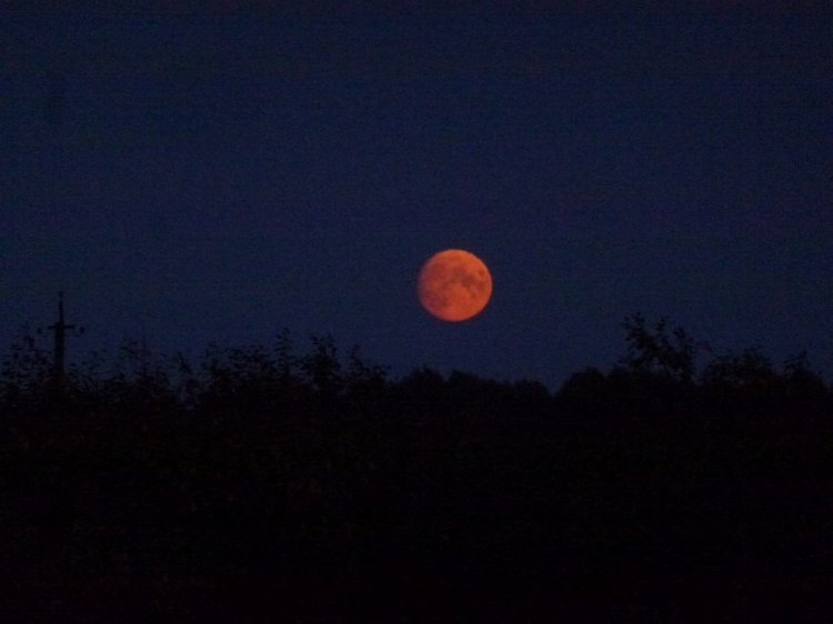 Отдых в деревне с Джой — Туризм и путешествия: фотоотчеты из поездок