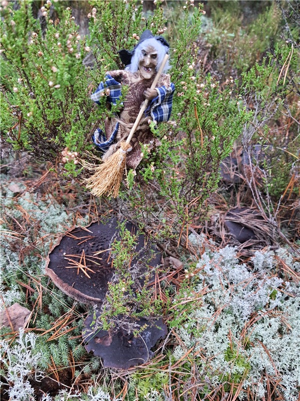 Сказка Оршинского Леса | Бэйбики Сказка Оршинского Леса — Куклы Meadow dolls (Медовушки): BJD (БЖД) (фото 5)