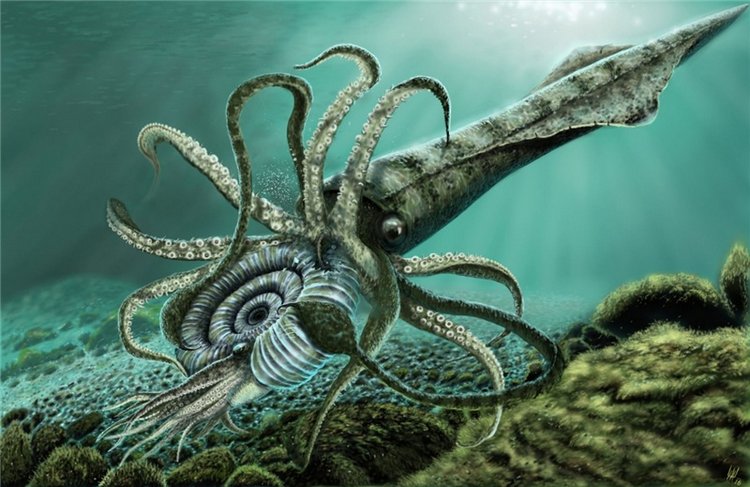 Выставка "Самоцветы Мира" в Твери, продолжение