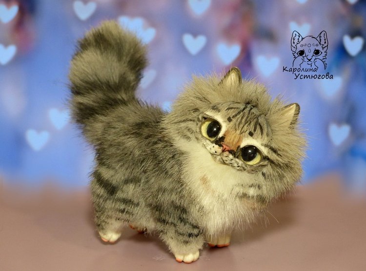 Котята Сибирской породы Табби и Мраморный биколор