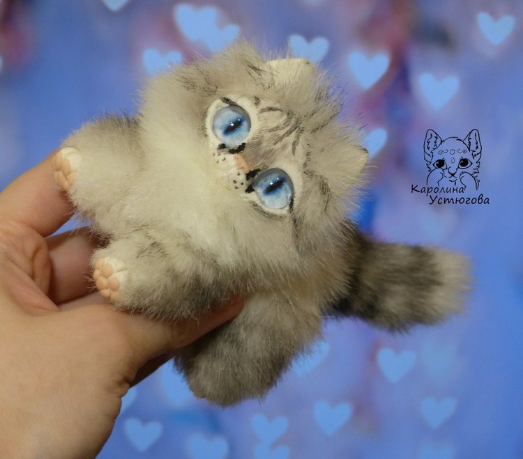 Котята Охос азулес. Чарующие глаза