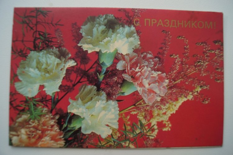 Советские открытки на каждый праздник. Годовой цикл. 23 февраля (фото 9)