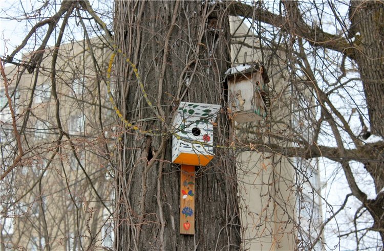 Тверской Ботанический Сад, заключительная часть (фото 3)
