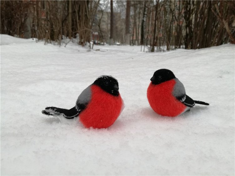 Снегири прилетели и Крошка на ладошке (фото 10)