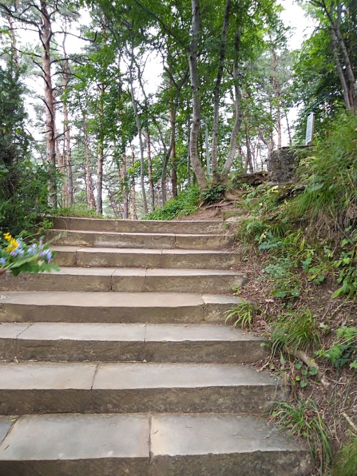 Возвращение Хелены в Кисловодск: опять за своё