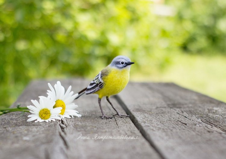 Жёлтая трясогузка — Валяные игрушки из шерсти: сухое валяние (фото 2)