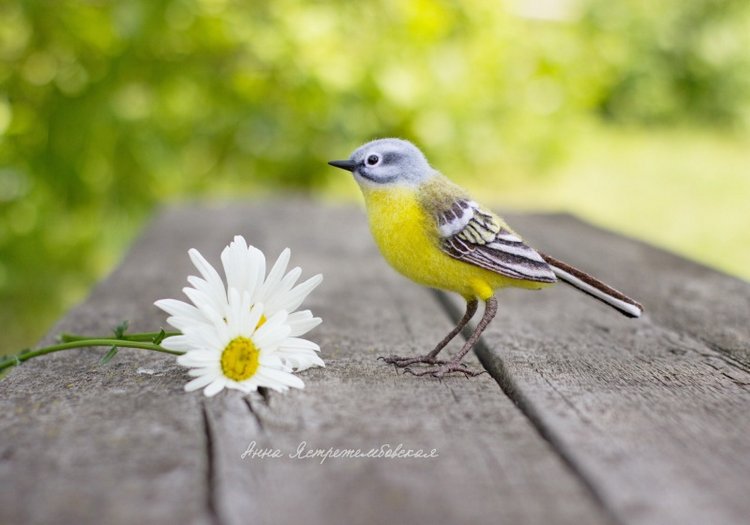 Жёлтая трясогузка — Валяные игрушки из шерсти: сухое валяние