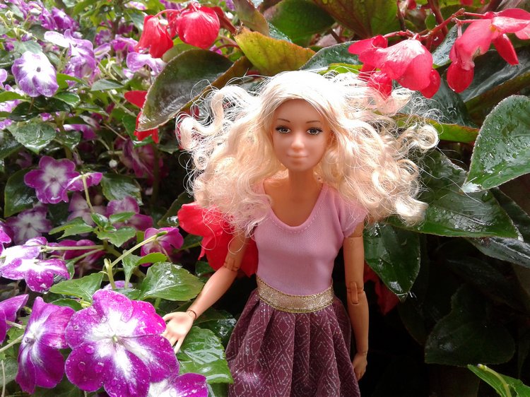 Последний месяц лета. Мой Псков. Аурика (фото 6)