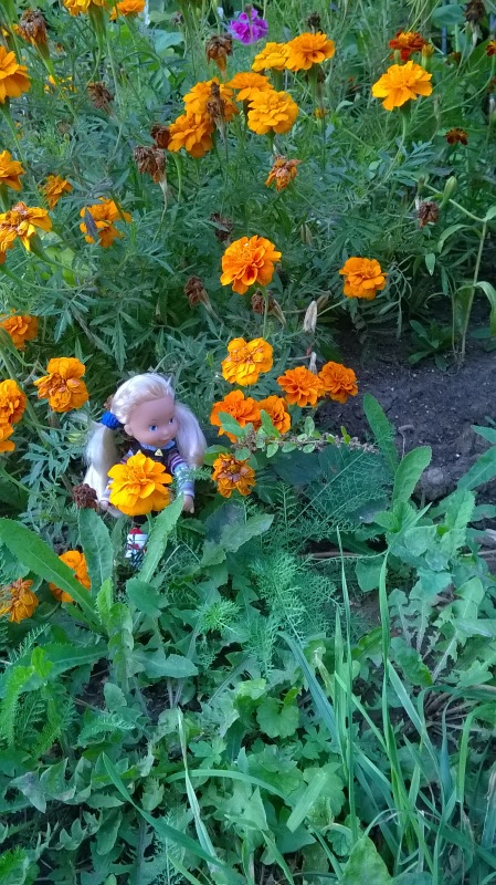 Девчонка по имени Женька-подарок форумчанки Анечки