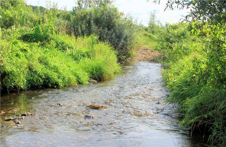 Старицкая Швейцария. Путешествие с Сашей, продолжение. Уникальная кукла от Сильвии Наттерер