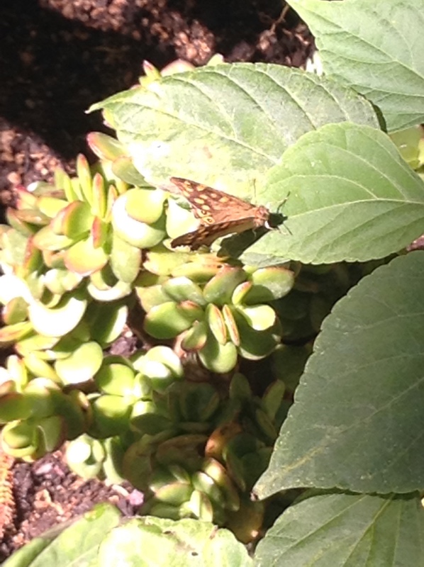 Путешествие Минуш в Испанию. Каталония. Ч.3. Райские сады