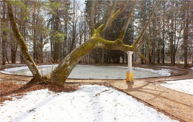 Джиджи в Берново. BJD Gigi от Meadow Dolls