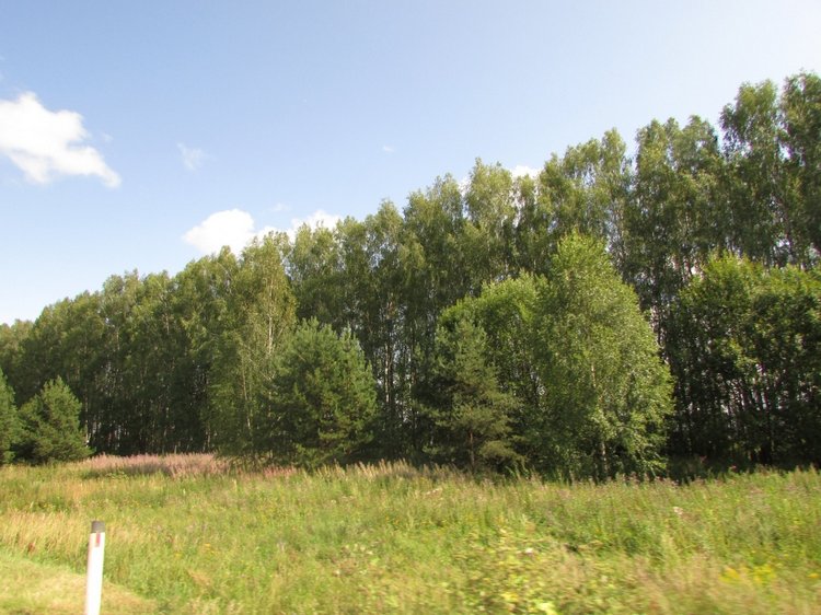 Путешествие в Нижегородскую область - часть 1 - Дивеево (Дивеевский монастырь) (фото 9)