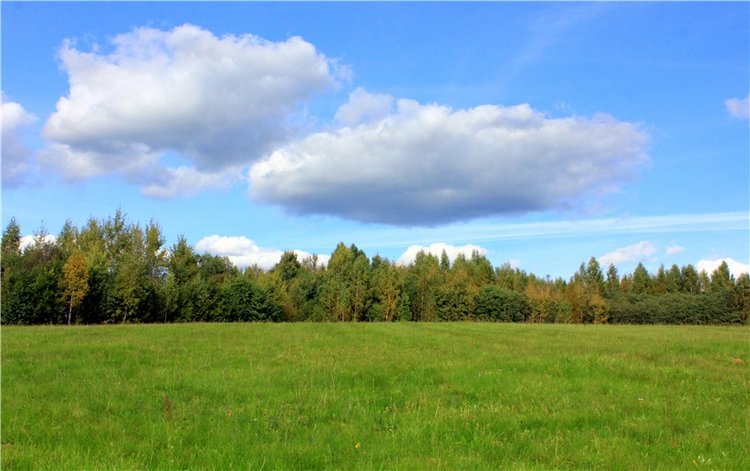 Странница во времени — Антикварные куклы Simon & Halbig (S&H): Симон Хальбиг (фото 9)