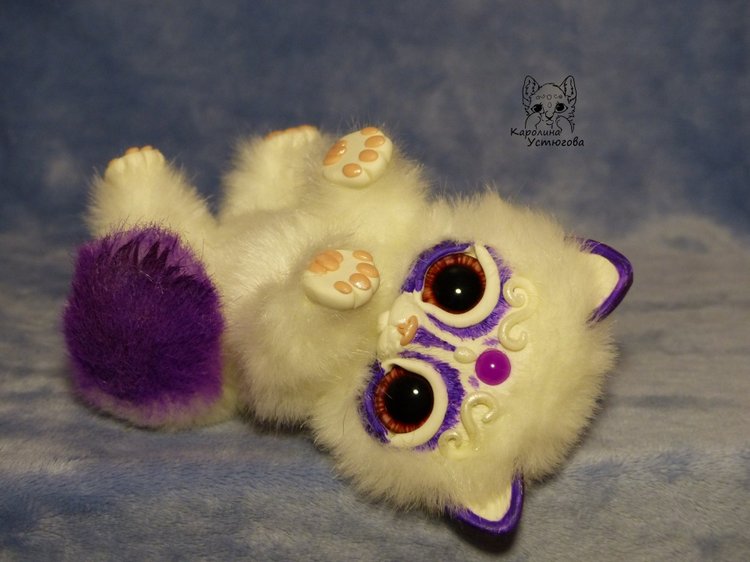 Королевские волшебные коты, породы: Мирис. В кадре и за кадром. Процесс