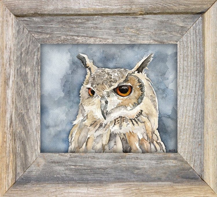 TheColorfulCatStudio - Иллюстрированная фауна by Rachel Byler