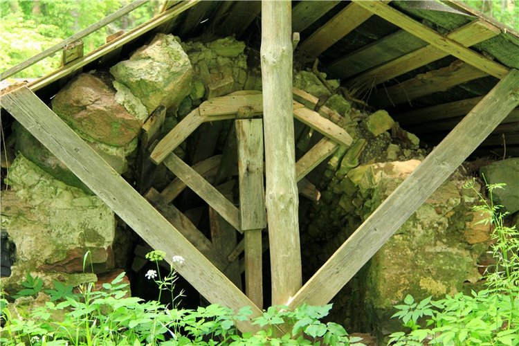 Путешествие Виолы в Усадьбу Знаменское-Раёк