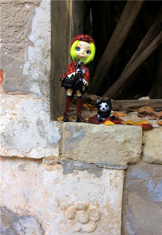 Путешествие Dal Hangry в Грузины