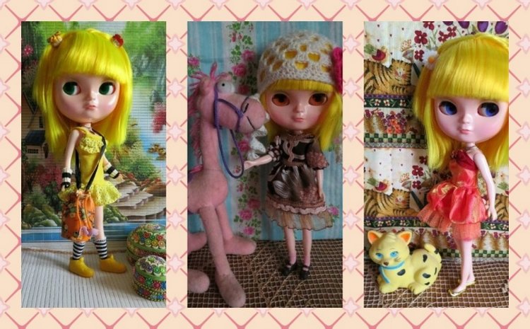 Моя Бегония совсем не цветок (фото 4)