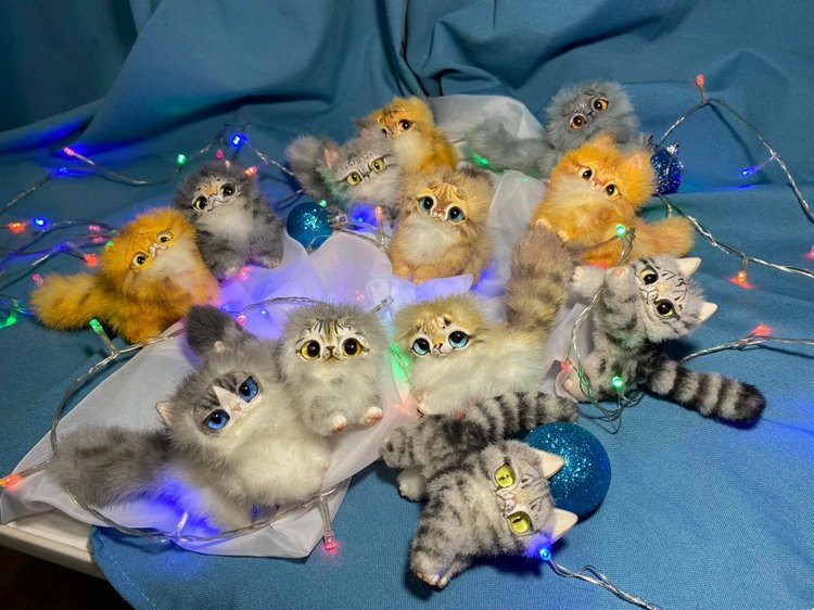Котята и подготовка к новому году (фото 6)