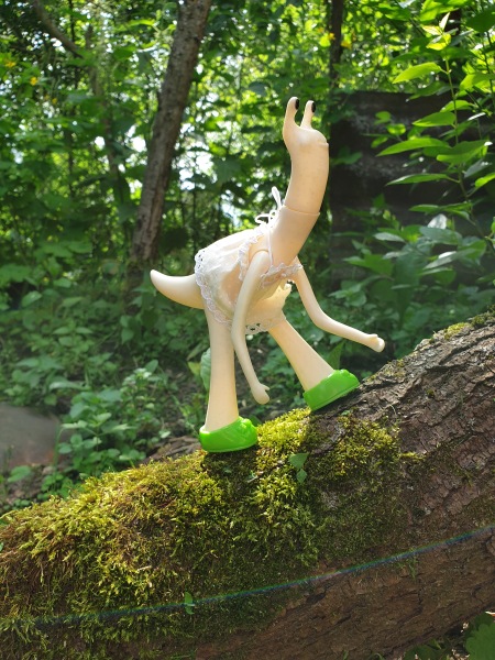 Лягушка Ванда и все-все-все