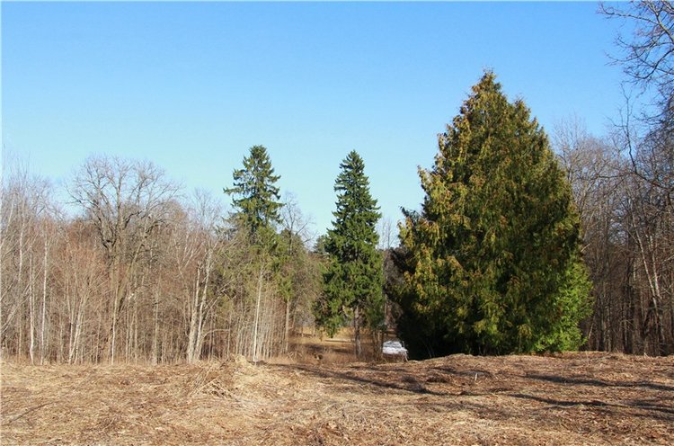 Апрельский день в Василёво, заключительная часть
