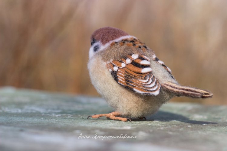 Воробушки — Валяные игрушки из шерсти: сухое валяние