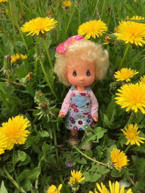 Поездка на дачу с Mui-chan, Migliorati и Sonny angel