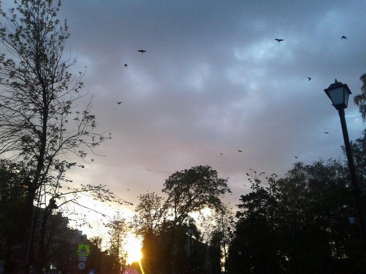 Наше лето 2: Псков, День Города! Прогулка с Донной. Новые куклы в подарок (ура!!!) (фото 9)