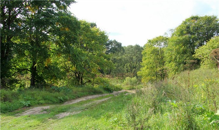 Старицкая Швейцария. Путешествие с Сашей, продолжение. Уникальная кукла от Сильвии Наттерер