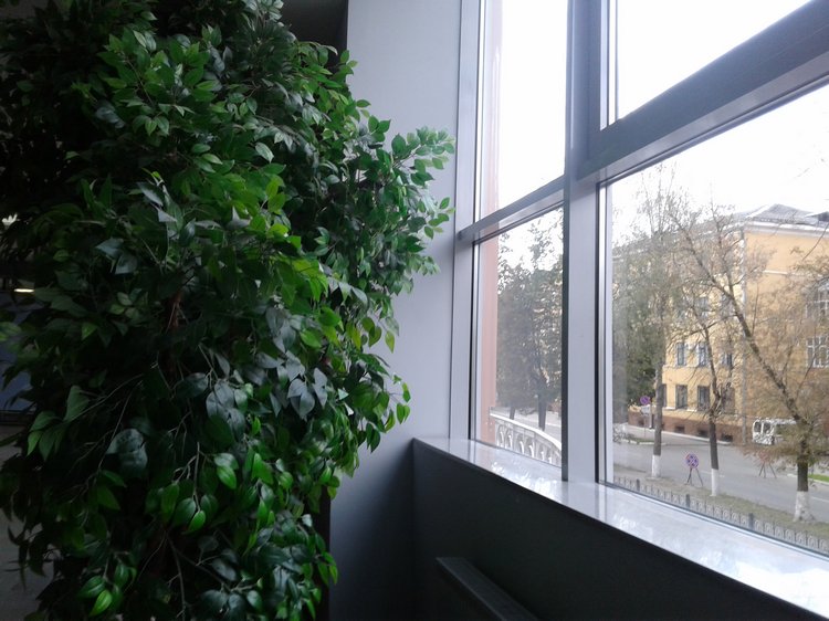 Осенние зарисовки. Часть 2